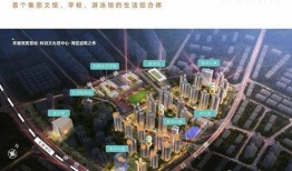 惠州楼盘爆料事件视频最新,揭露背后惊人真相！